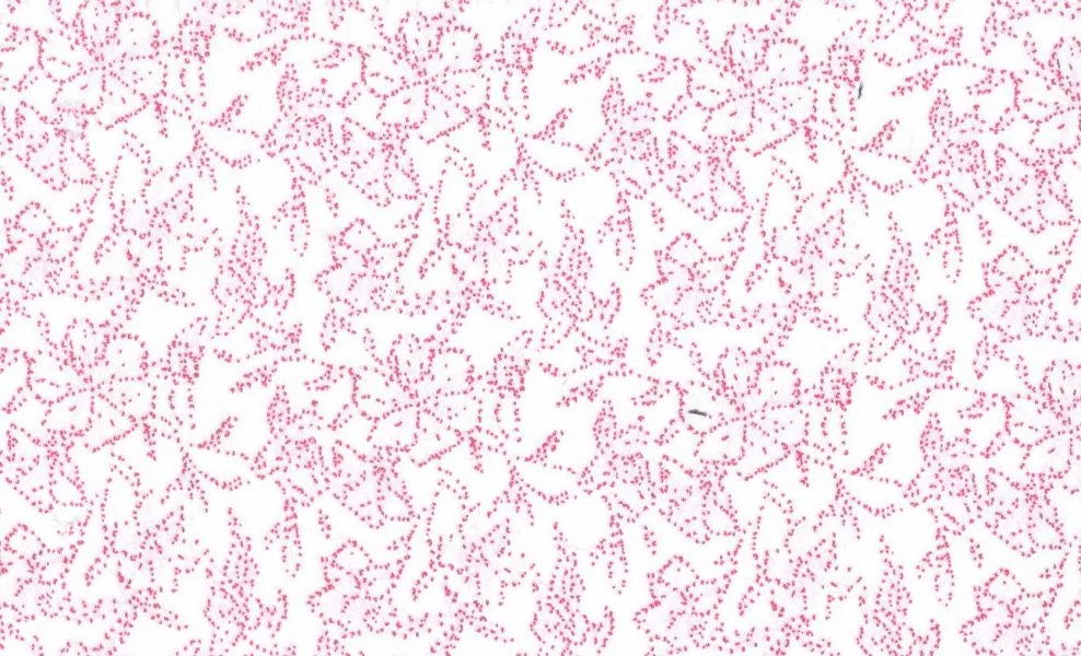 RD Shirting 29585-68 Pink Floral fabric swatch