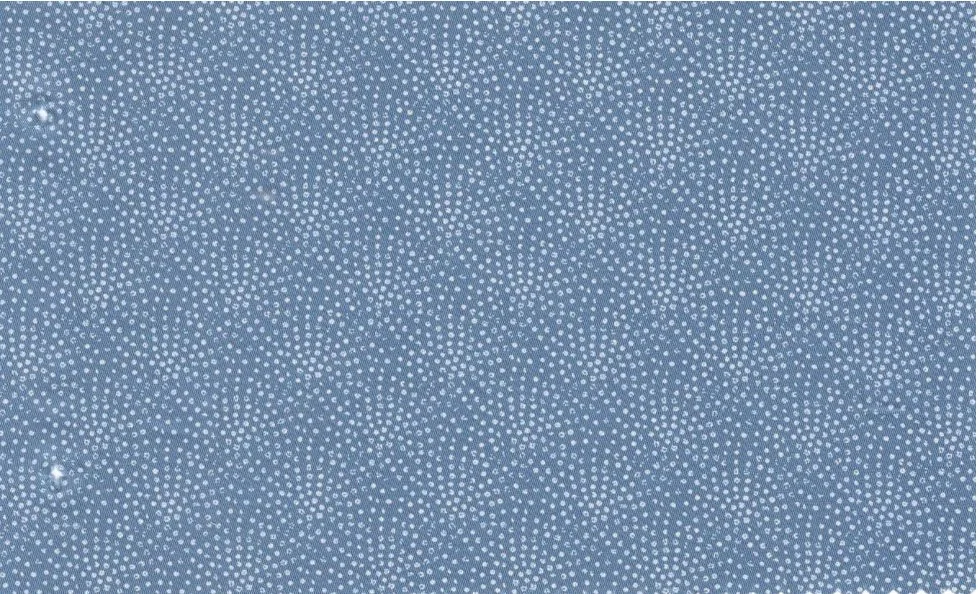 RD Shirting 29588-68 Lt. Blue Fancy fabric swatch