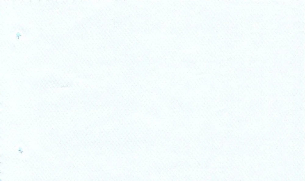 RD Shirting 30103-75 White Self fabric swatch