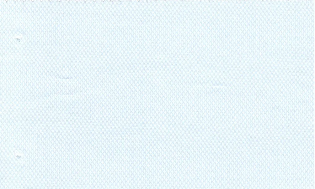 RD Shirting 30104-75 Light Blue Self fabric swatch