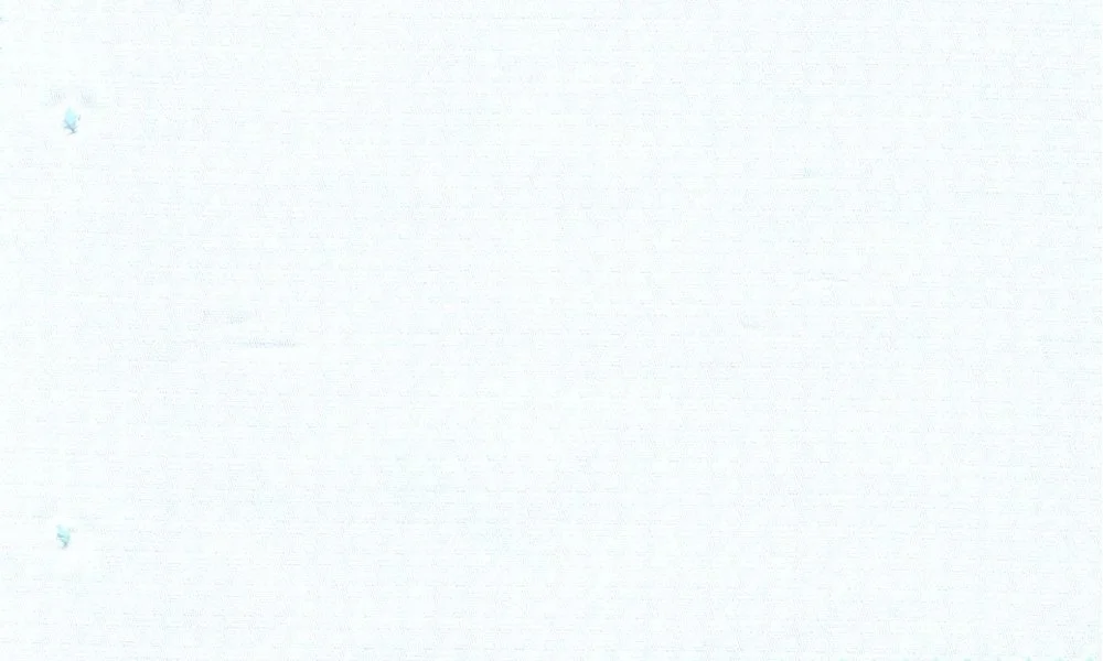RD Shirting 30111-75 White Self fabric swatch