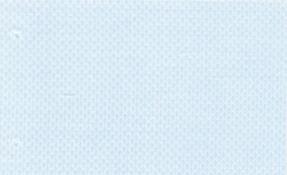 RD Shirting 30112-75 Blue Self fabric swatch