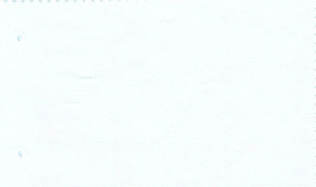 RD Shirting 30113-75 White Self fabric swatch