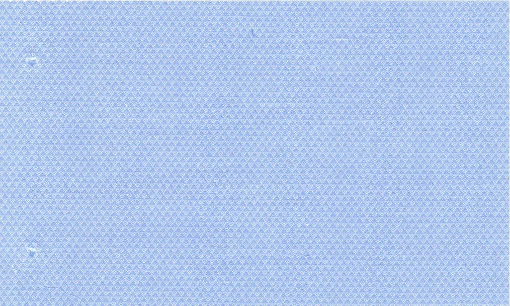 RD Shirting 30114-75 Blue Self fabric swatch