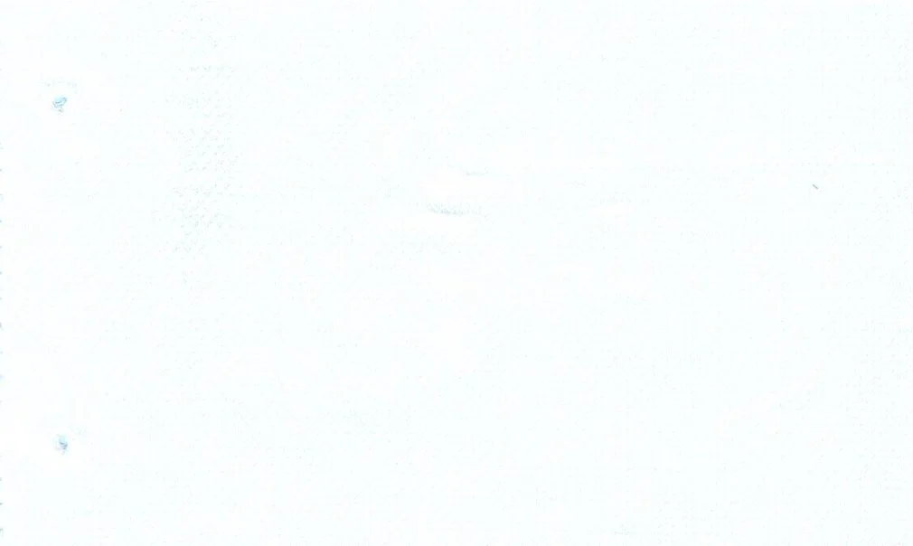 RD Shirting 30115-75 White Self fabric swatch