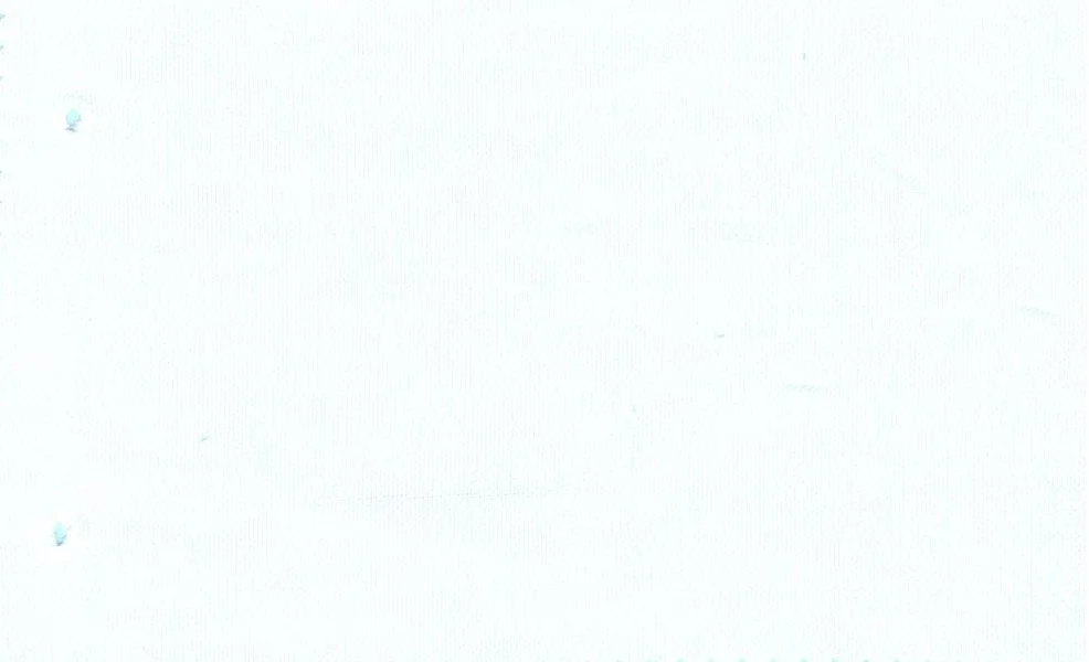 RD Shirting 30117-75 White Self fabric swatch