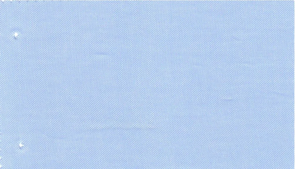RD Shirting 30118-75 Light Blue Self fabric swatch