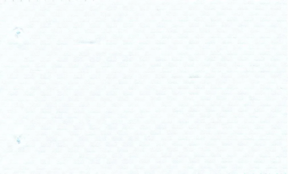 RD Shirting 30123-75 White Self fabric swatch