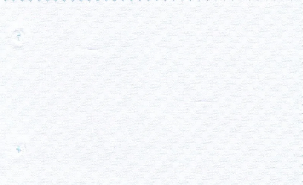 RD Shirting 30124-75 Pink Self fabric swatch