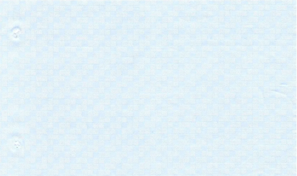 RD Shirting 30125-75 Blue Self fabric swatch