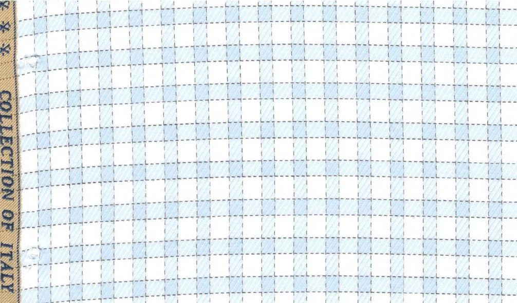RD Shirting 30128-75 Blue Windowpane fabric swatch