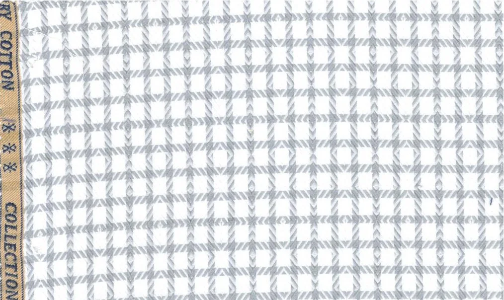 RD Shirting 30137-75 Grey Windowpane fabric swatch
