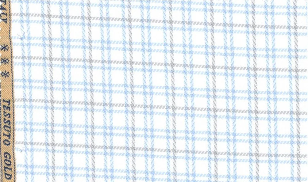 RD Shirting 30140-75 Blue Check fabric swatch