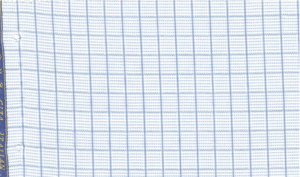 RD Shirting 30146-75 Blue w/Blue Check fabric swatch