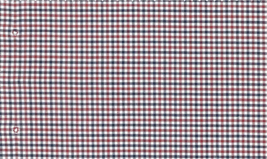 RD Shirting 30149-75 Red-Blue Check fabric swatch