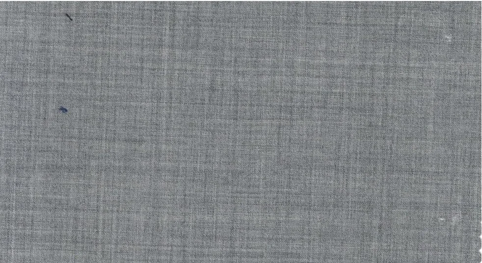 Regency Collection 30067-95 Light Grey fabric swatch