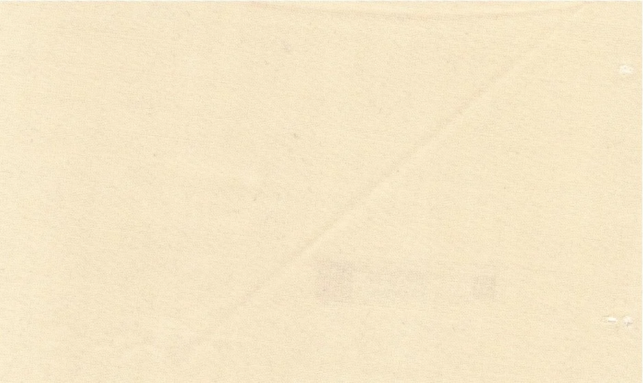 Regency Collection 30070-95 Dark Cream fabric swatch