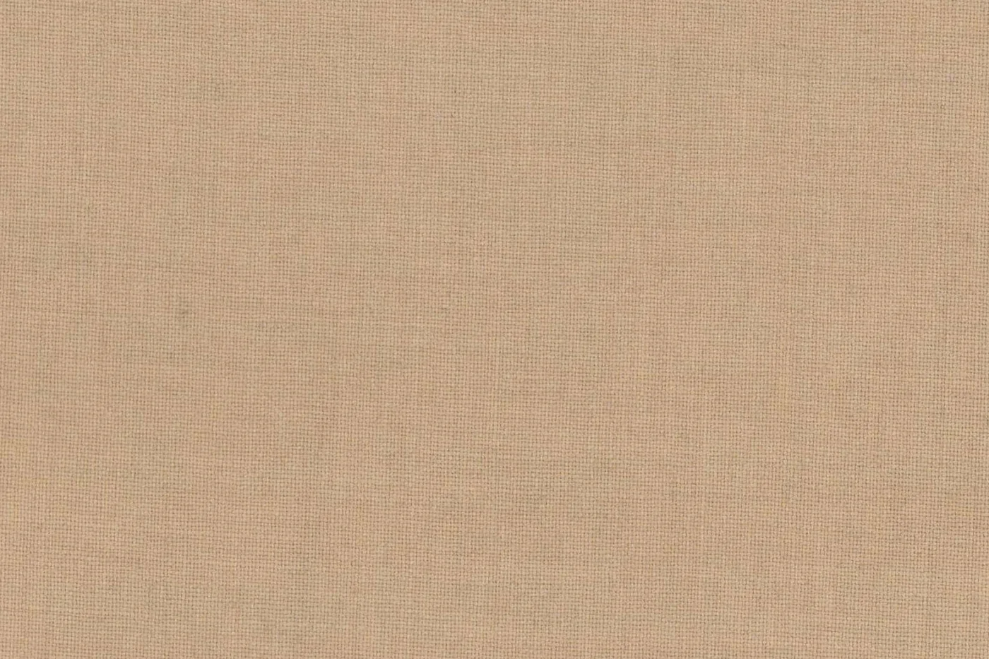 Regency Collection 8372-95 TAN fabric swatch