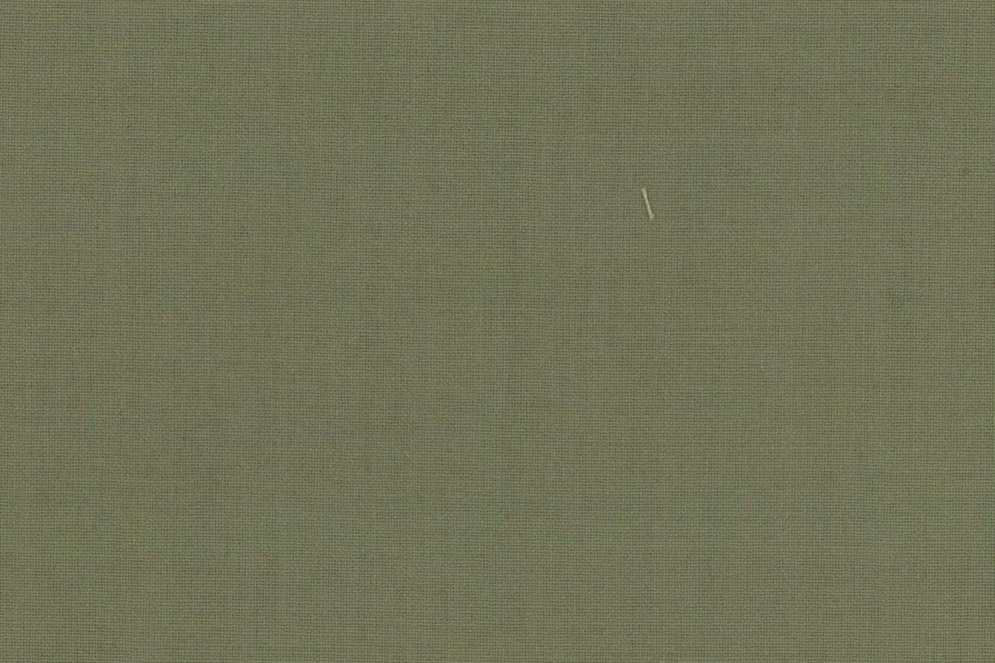 Regency Collection 8954-95 LIGHT OLIVE fabric swatch