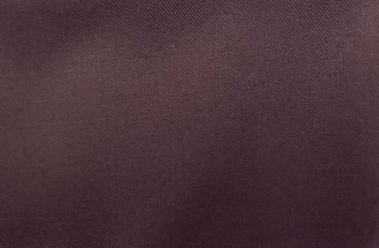 Royal Club 20045-150 MAROON fabric swatch