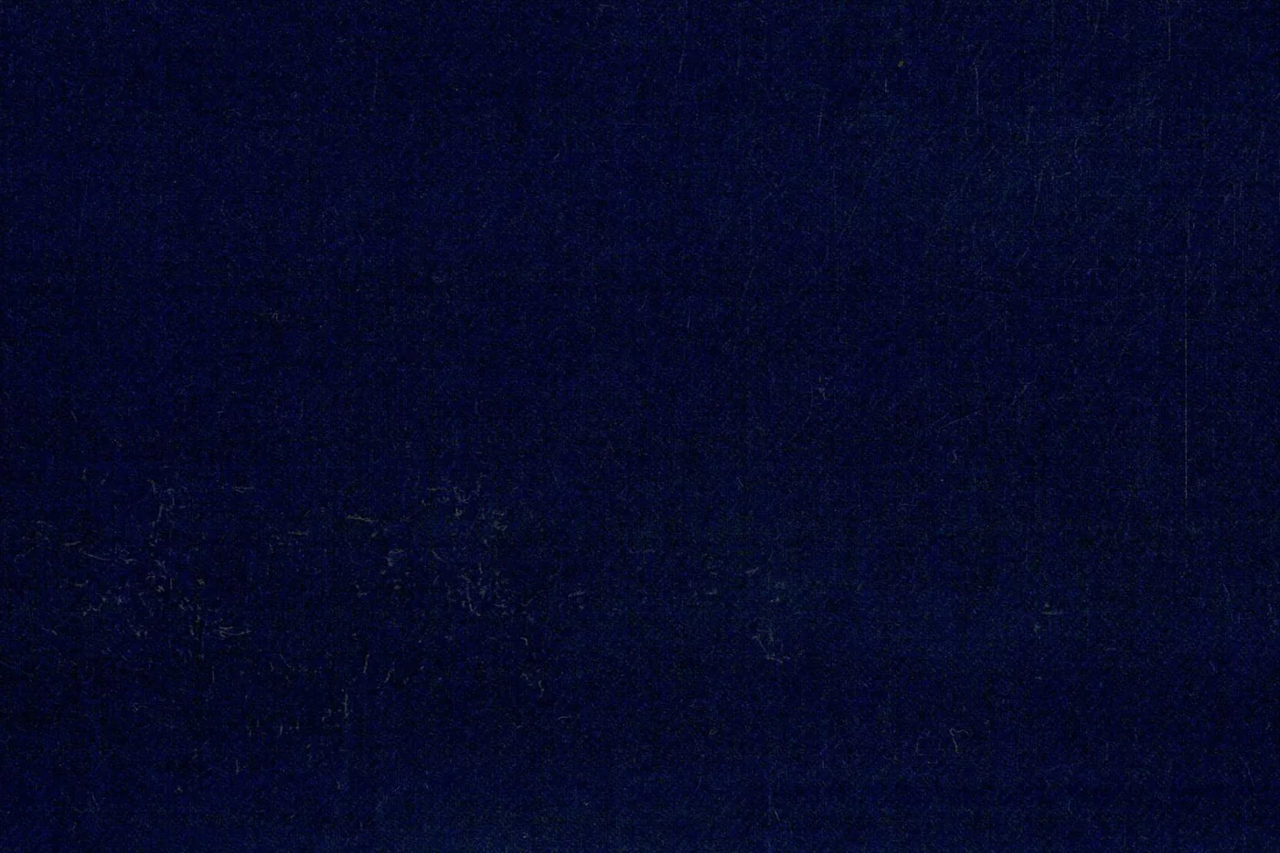 Royal Club 5351-150 LIGHT NAVY fabric swatch