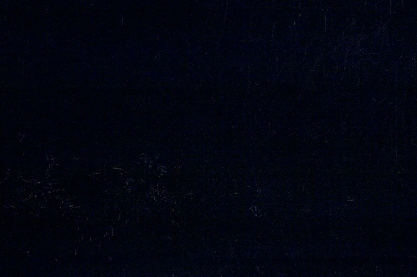 Royal Club 9826-150 MIDNIGHT fabric swatch