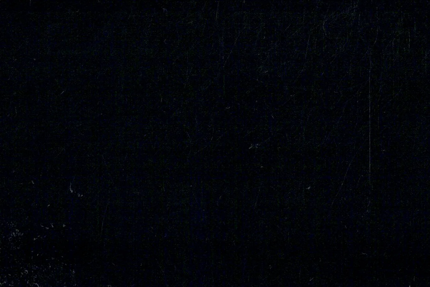 Savile Row 25534-140 BLACK SOLID fabric swatch