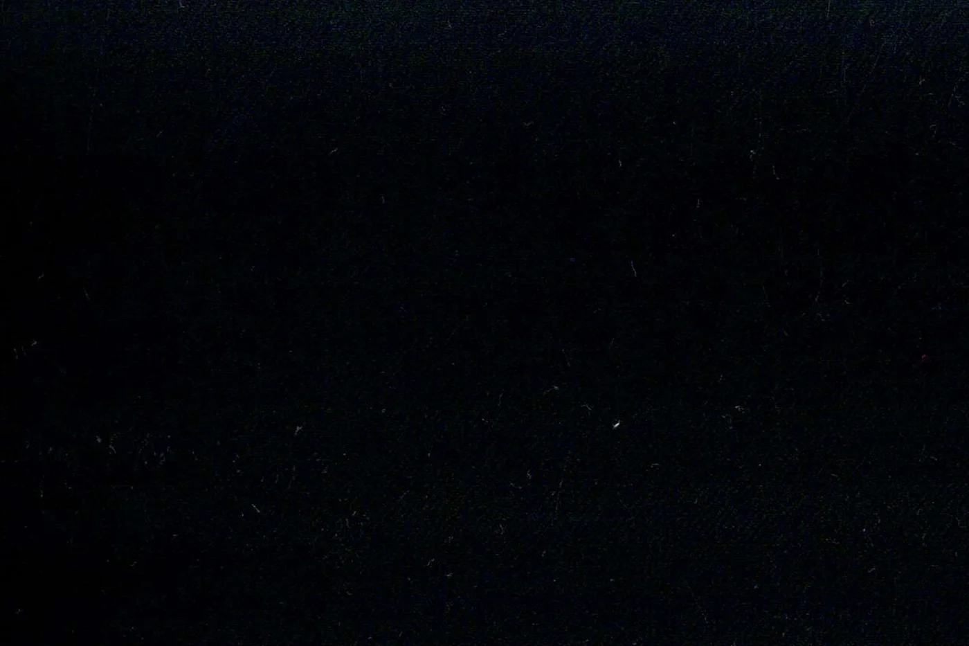 Savile Row 25626-140 BLACK fabric swatch