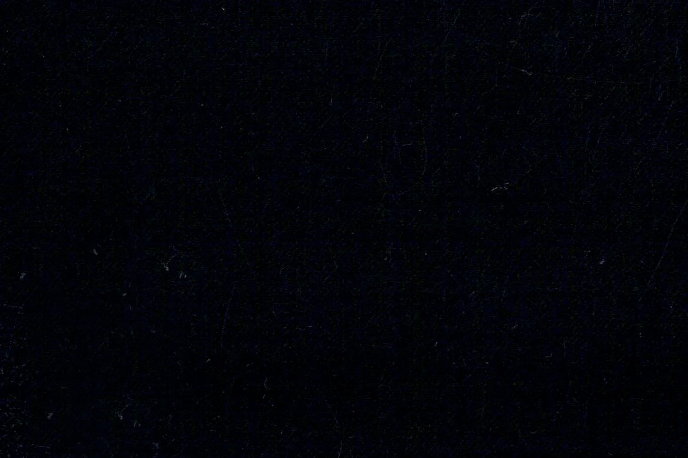 Savile Row 26252-140 BLACK fabric swatch