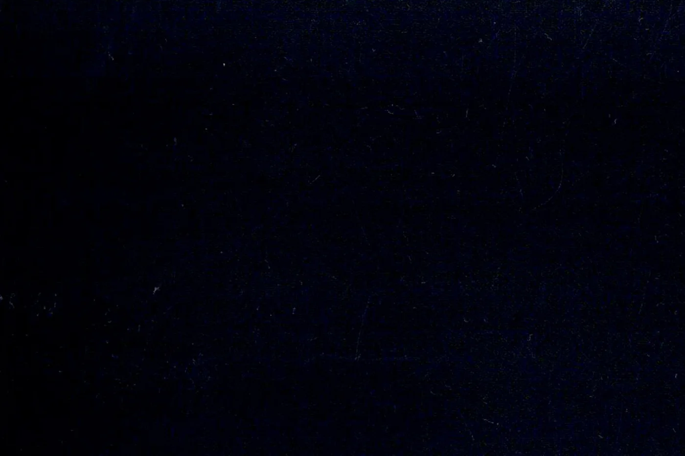 Savile Row 26647-160 NAVY fabric swatch