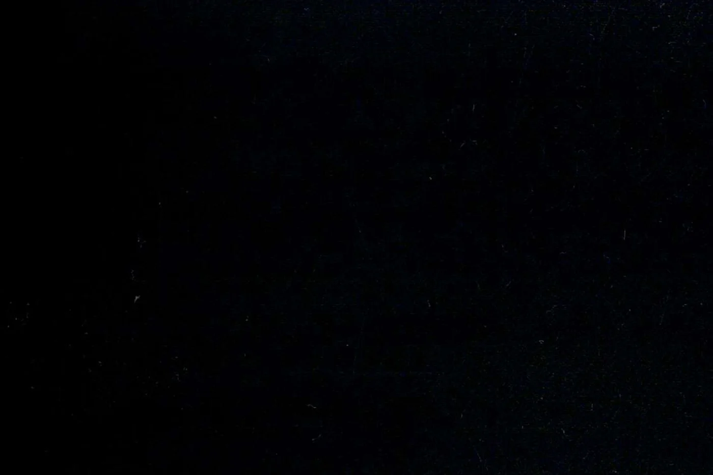Savile Row 26648-160 BLACK fabric swatch