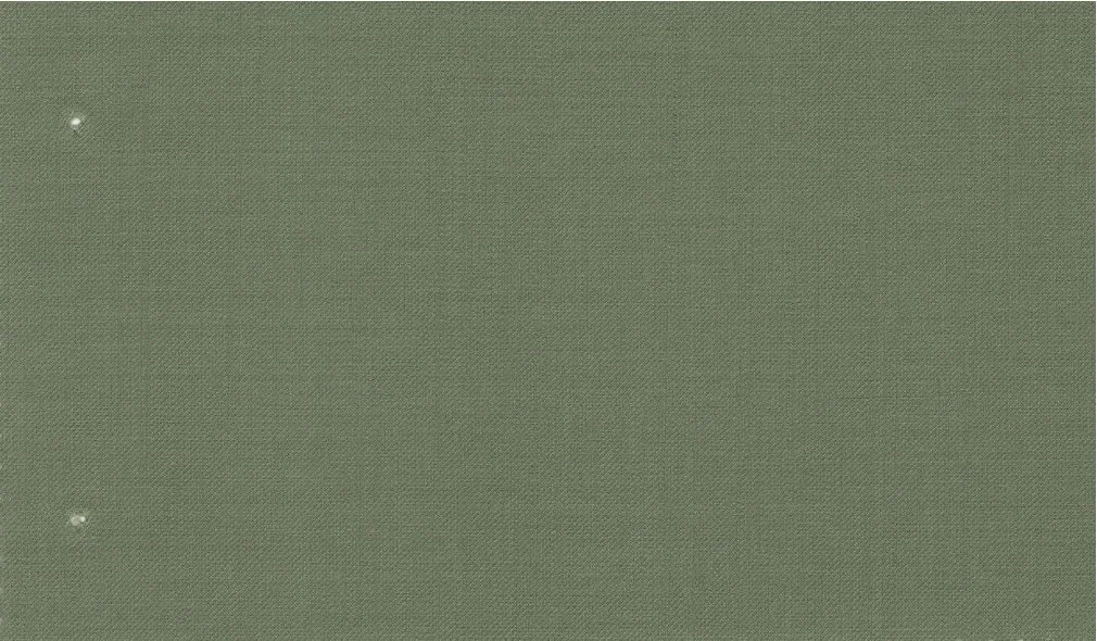 Savile Row 30165-140 Medium Green fabric swatch