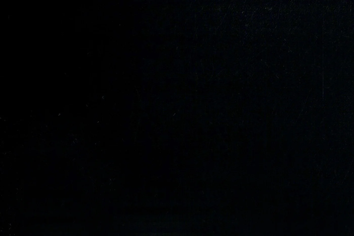 Savile Row 9751-150 BLACK fabric swatch