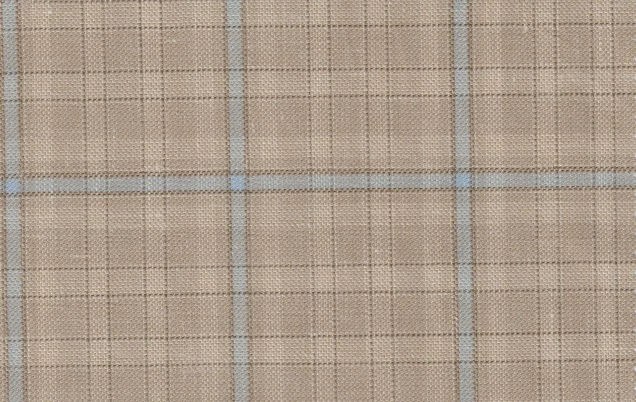 Sergio Benetti 29213-210 TAN WITH BLUE WINDOWPANE fabric swatch