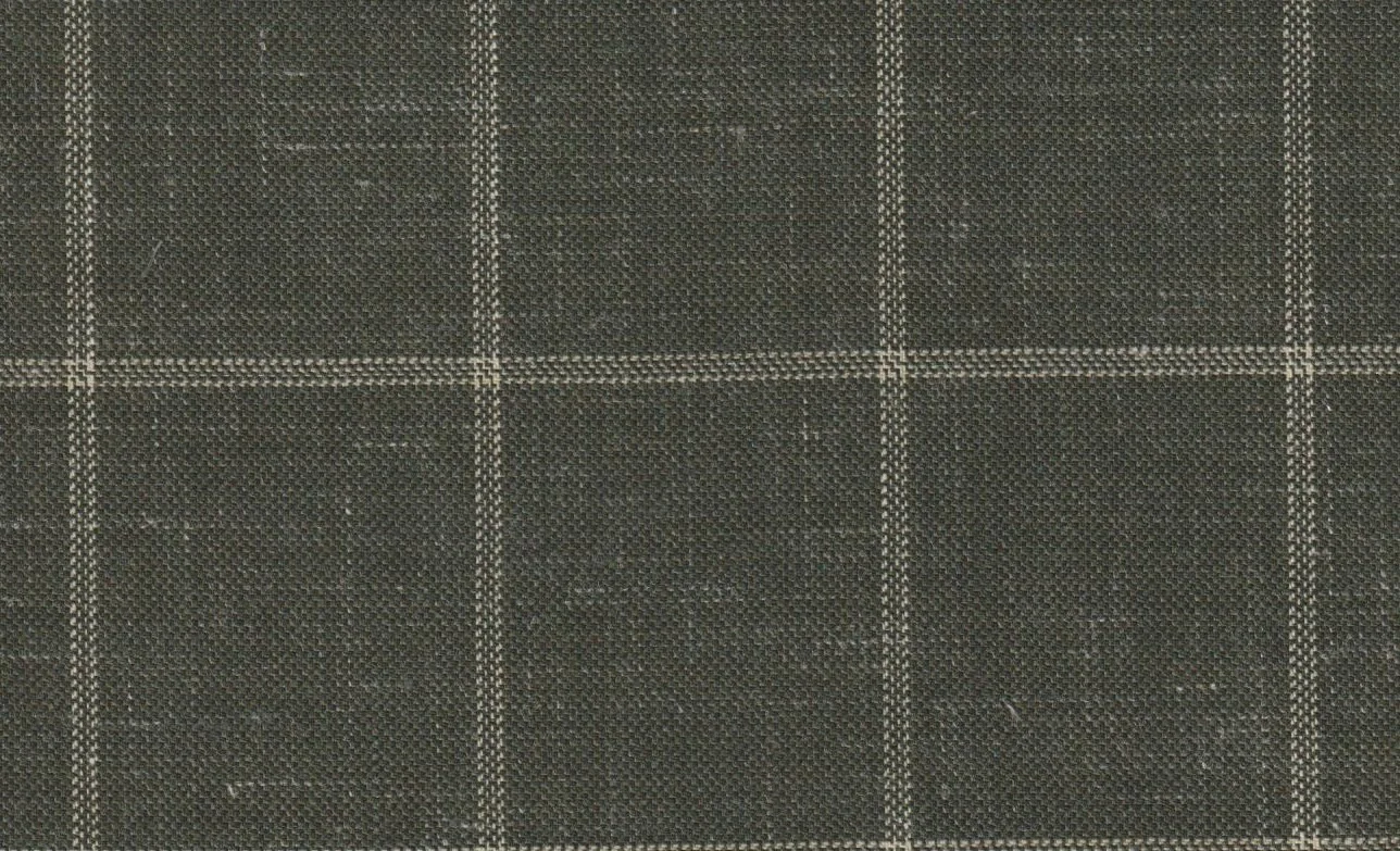 Sergio Benetti 29220-210 GREEN WINDOWPANE fabric swatch