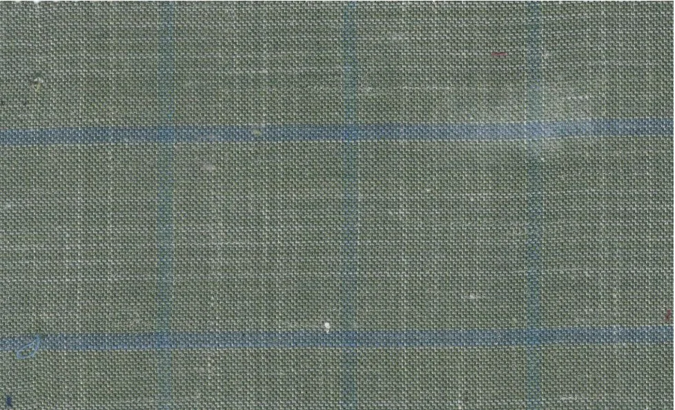 Sergio Benetti 29253-180 Light Green W/Blue Windowpane fabric swatch