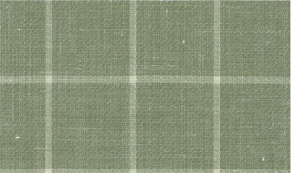 Sergio Benetti 29268-180 Light Green Windowpane fabric swatch