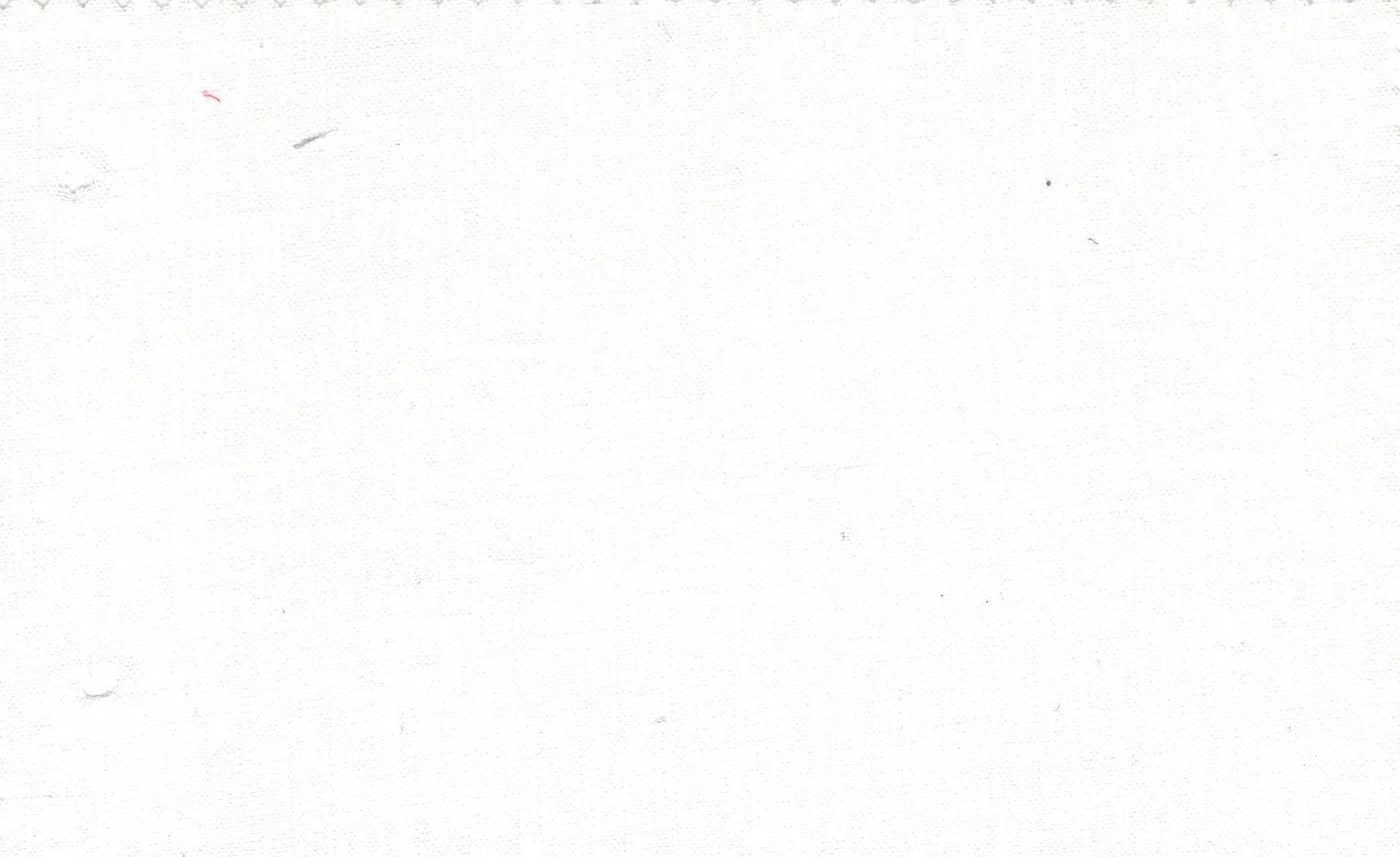 Sergio Benetti 29664-180 WHITE fabric swatch