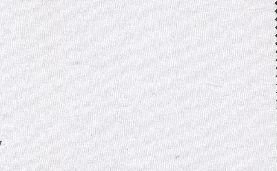 Tessitura Monti 29491-140 White Twill fabric swatch