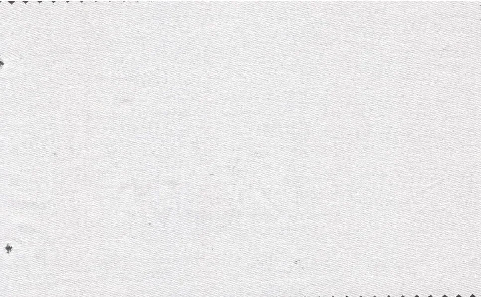 Tessitura Monti 29492-140 Cream Twill fabric swatch