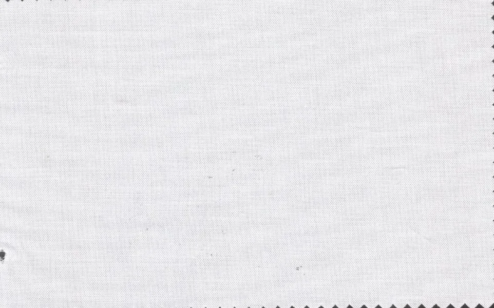 Tessitura Monti 29497-140 White Pinpoint fabric swatch