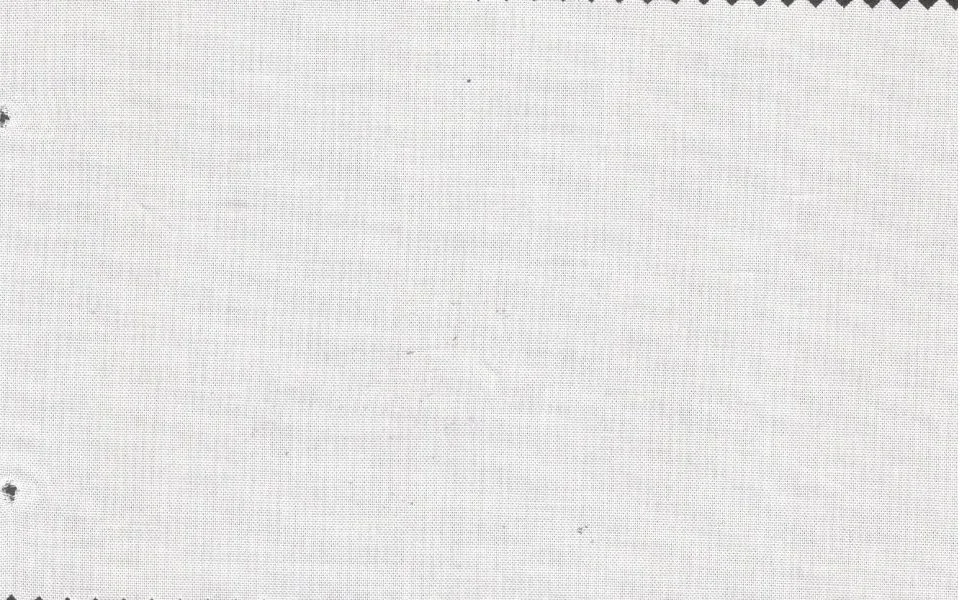 Tessitura Monti 29498-140 Cream Pinpoint fabric swatch