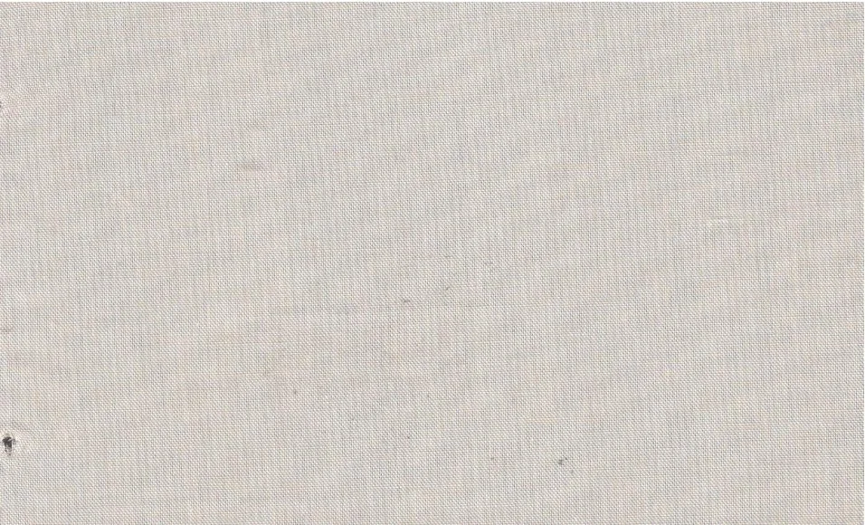 Tessitura Monti 29499-140 Beige Pinpoint fabric swatch