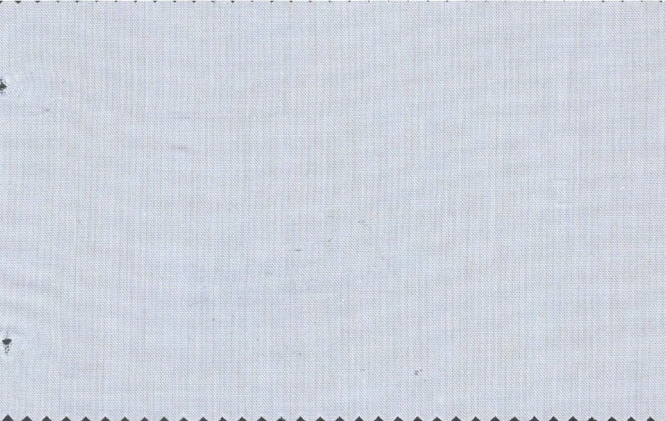 Tessitura Monti 29500-140 Lt. Blue Pinpoint fabric swatch