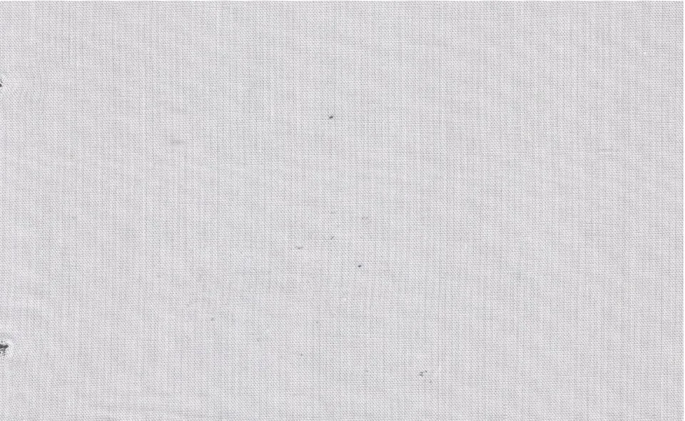 Tessitura Monti 29502-140 Lt. Grey Pinpoint fabric swatch