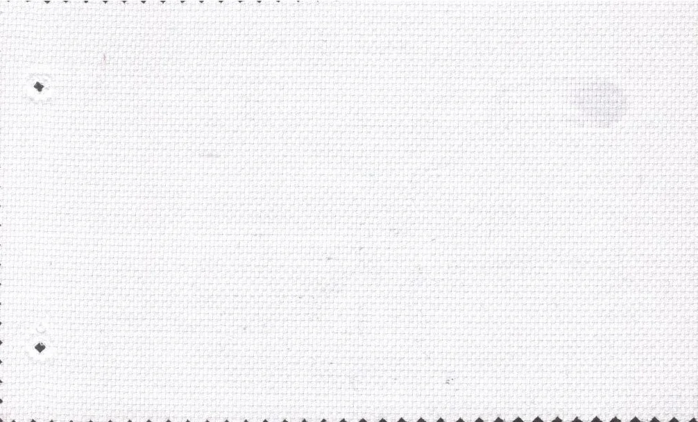 Tessitura Monti 29504-140 White Birdseye fabric swatch