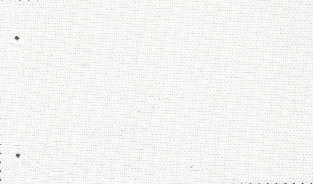 Tessitura Monti 29505-140 Cream Birdseye fabric swatch