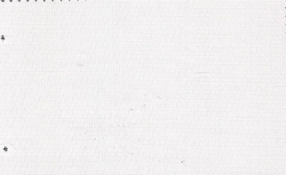 Tessitura Monti 29519-140 Cream Self fabric swatch