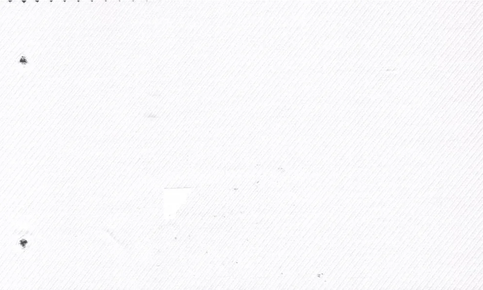 Tessitura Monti 29535-140 White Cavalry fabric swatch