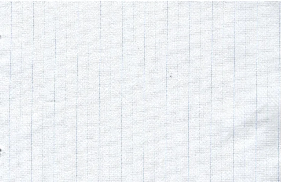 Tessitura Monti 30243-140 White w/Blue Stripe fabric swatch